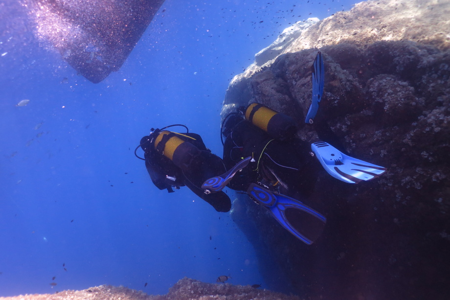 Tauchgangführung mit Markus