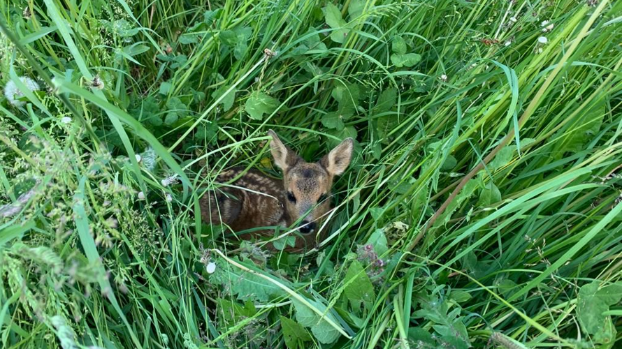 Secziun da catschadurs Péz Alpetta