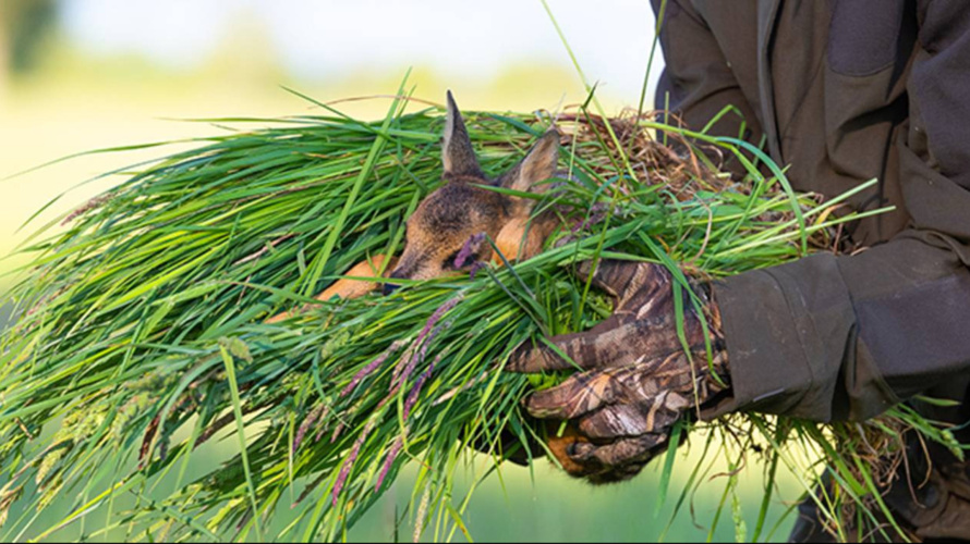 Rehkitzrettung im Säuliamt - Drohnenausrüstung!