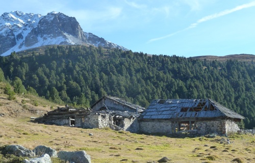 Restaurierung Alp Tamangur Dadora