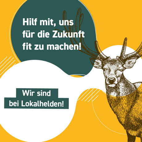 Finanzierungsphase ist gestartet