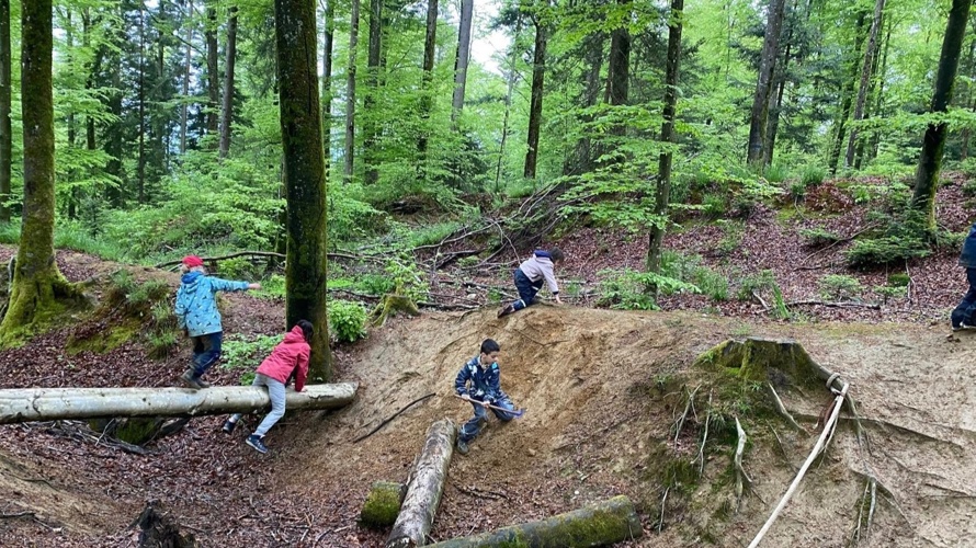 Kinder und Natur Waldspielgruppe