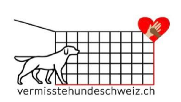 Vermisste Hunde Schweiz - braucht Ihre Unterstützung! 