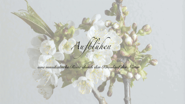 Aufblühen!
