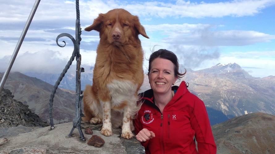 Neugestaltung Hunde-Trainingsplatz in St. Niklaus