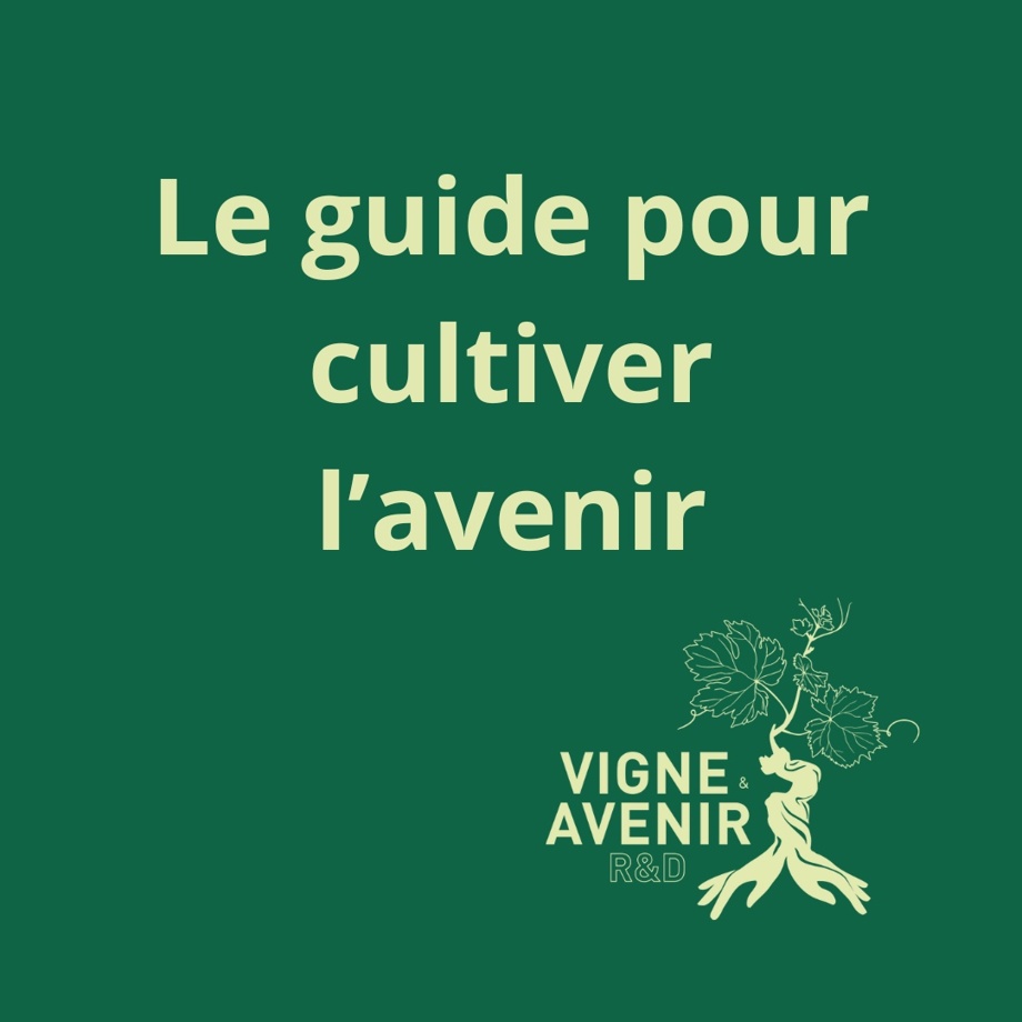Le guide pour cultiver l'avenir