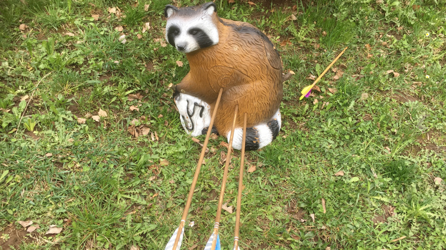 Campo di tiro con l'arco 3D