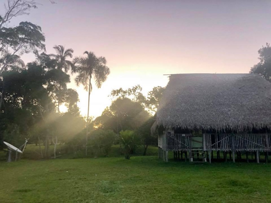 250 arbres et un voyage au coeur de l'Amazonie chez les peuples premiers