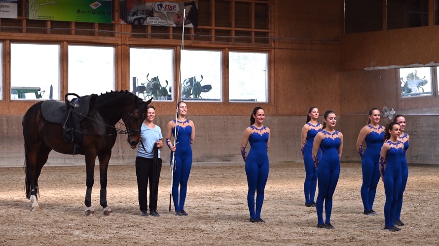 Neues Pferd für unsere Voltis