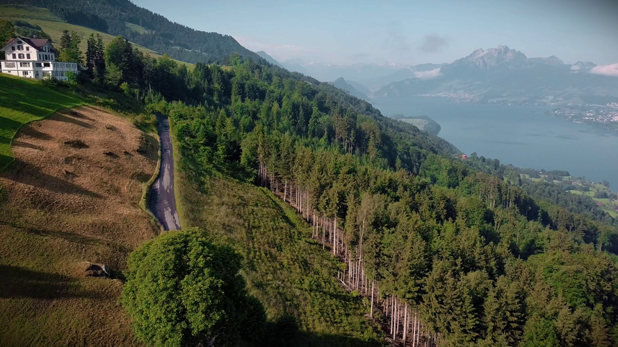 Forstpflanzen Aufzucht Zentralschweiz