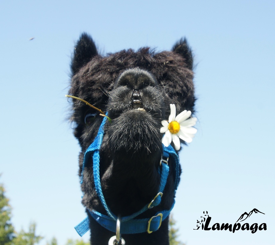 Une photo dédicacée afin de vous remercier