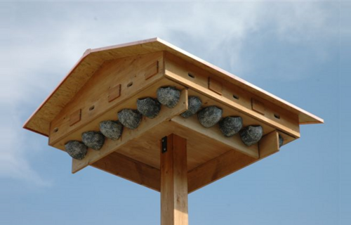 Vogelhotel Meiemoos Burgdorf