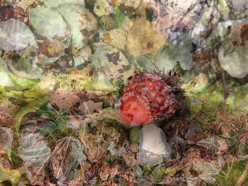 Eiger Gönner mit Kartoffelkunstdruck, Digitaldruck auf Leinwand von annette weber, Sauertig Pfünderli & 10 mini Brownies