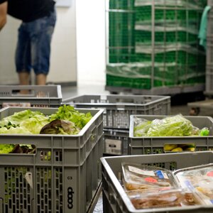 10.8 Tonnen Lebensmittel an soziale Institutionen verteilen
