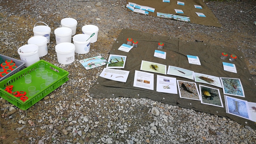 Junior Ranger - Nachwuchs für unsere Natur