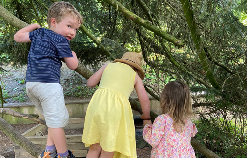 Kindertagesstätte TRIP TRAP