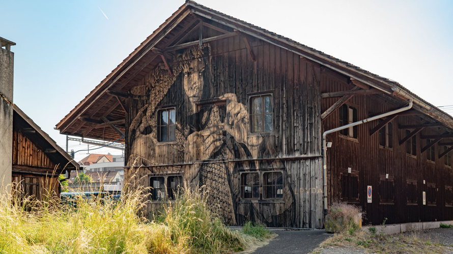 Pro Streetart Frauenfeld
