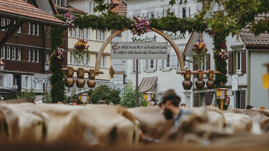 Viehzuchgemeinschaft Herisau