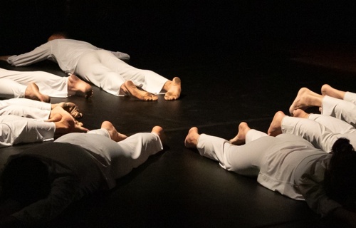 insieme Movers: Dreams