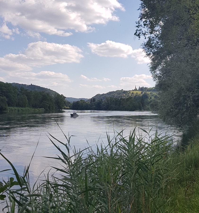 Schwimmen im Rhein von Ellikon am Rhein bis zur Flaachemer Brücke