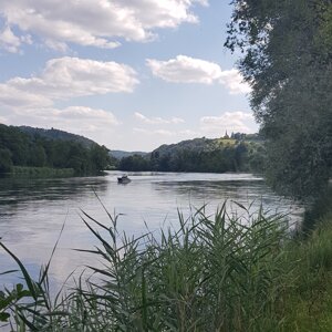 Schwimmen im Rhein von Ellikon am Rhein bis zur Flaachemer Brücke