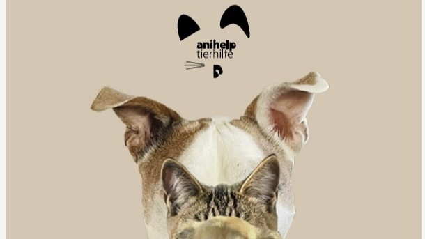 Kompromissloser Tierschutz: zweite Chancen für Tiere