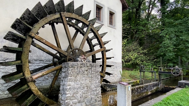  Die Schlossmühle Aarau ist hungrig nach Körnern 