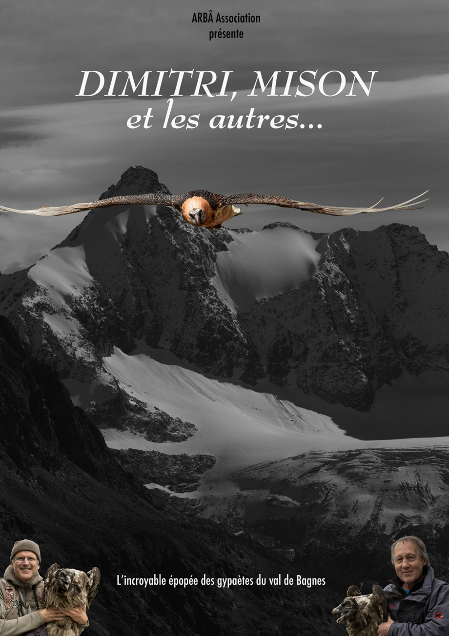 A la quête du gypaete barbu