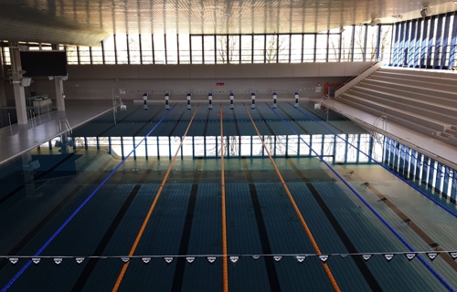 Sharks soon back into the pool