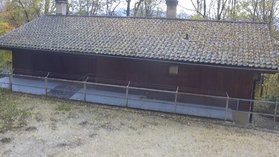 Ein neues Dach für unsere Pfadihütte