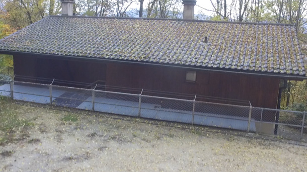  Ein neues Dach für unsere Pfadihütte 