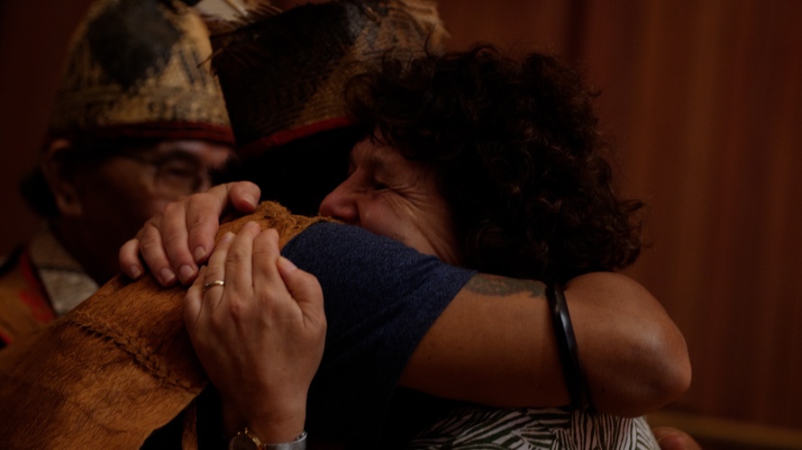 The Rainforest-Tribunal