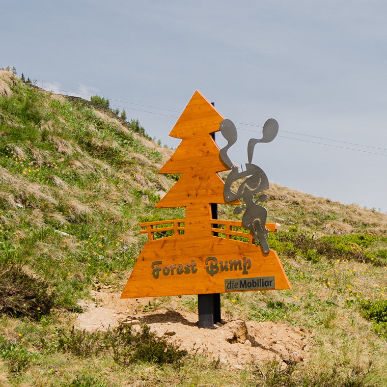 Trailnaming "Rocky"