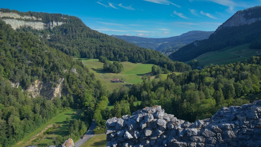 Stiftung Hund Schweiz