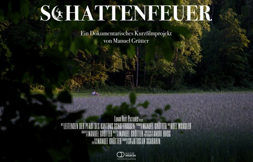 Schattenfeuer