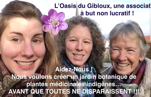 Une Oasis pour les plantes médicinales Suisses