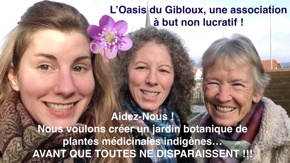 L'Oasis du Gibloux pour la sauvegarde des plantes médicinales Suisses