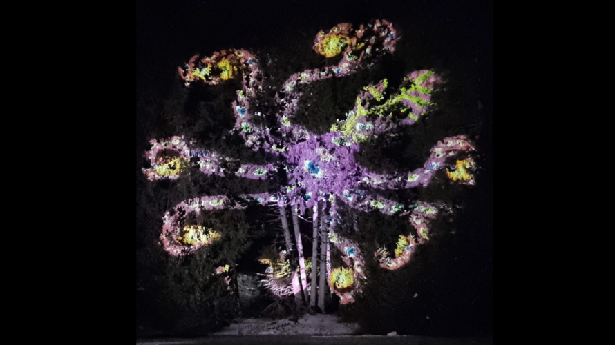 Faszinaziun Lichterwald