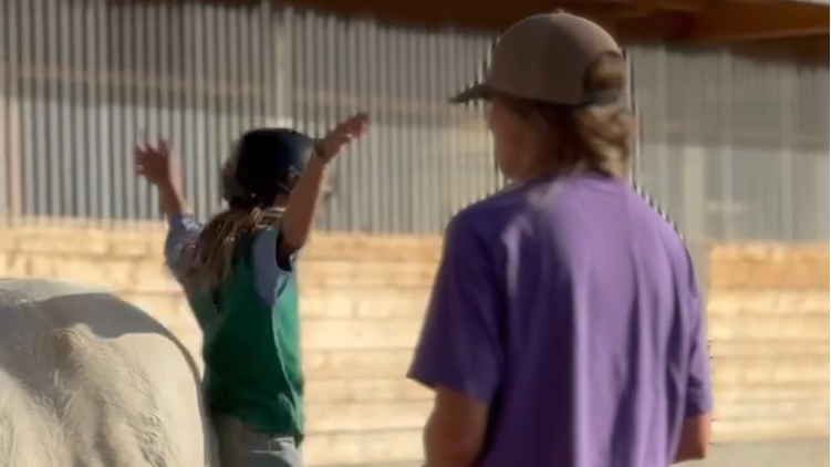 Une infrastructure adaptée pour la thérapie animale