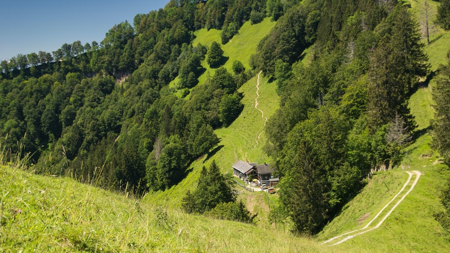 Neubau Alpstall Meiersalp