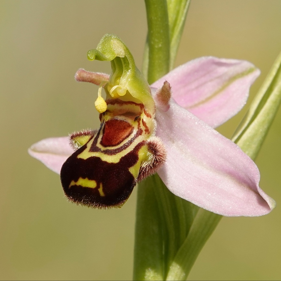 Dreier-Set Postkarten mit Naturmotiven