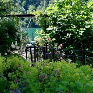 Führung in einem der schönsten Naturgärten von Eglisau