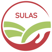 Sulas Markt