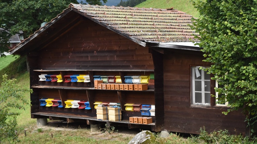 Erweiterung Lehrbienenstand