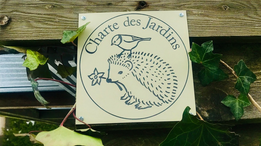 Jardimont : un jardin sauvage et évolutif au Mont-sur-Lausanne