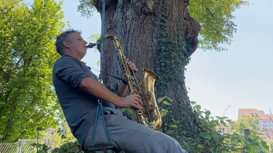 BAUMSY eine musikalisch-tänzerische Begegnung mit dem Baum