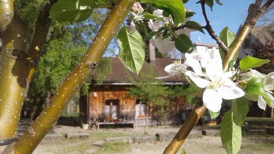 Spielplatz für Kindergarten und Spielgruppe