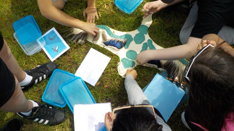 Junior Ranger - Nachwuchs für unsere Natur