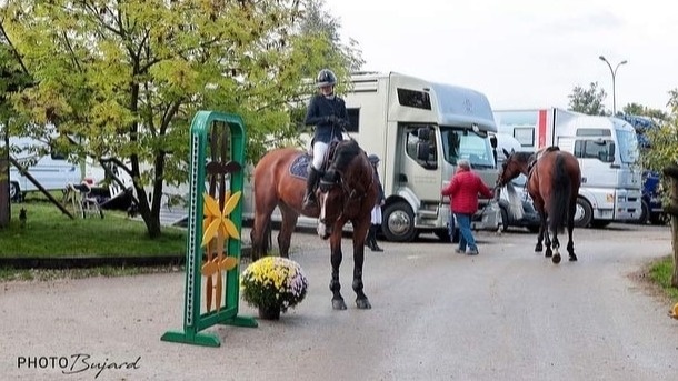 Le saut d'obstacle, mon école de vie - Eugénie Bornand