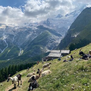 Stiftung Alpe Hannig